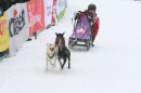 Schlittenhunderennen-Todtmoos-24022013-Bodensee-Community-seechat_de-IMG_3231.JPG