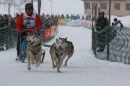 Schlittenhunderennen-Todtmoos-24022013-Bodensee-Community-seechat_de-IMG_3321.JPG
