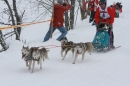 Schlittenhunderennen-Todtmoos-24022013-Bodensee-Community-seechat_de-IMG_3487.JPG