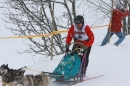 Schlittenhunderennen-Todtmoos-24022013-Bodensee-Community-seechat_de-IMG_3489.JPG