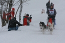 Schlittenhunderennen-Todtmoos-24022013-Bodensee-Community-seechat_de-IMG_3490.JPG