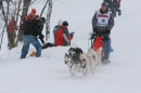 Schlittenhunderennen-Todtmoos-24022013-Bodensee-Community-seechat_de-IMG_3492.JPG