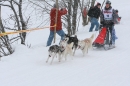 Schlittenhunderennen-Todtmoos-24022013-Bodensee-Community-seechat_de-IMG_3494.JPG