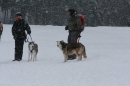 Schlittenhunderennen-Todtmoos-24022013-Bodensee-Community-seechat_de-IMG_3509.JPG