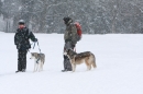 Schlittenhunderennen-Todtmoos-24022013-Bodensee-Community-seechat_de-IMG_3513.JPG