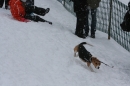 Schlittenhunderennen-Todtmoos-24022013-Bodensee-Community-seechat_de-IMG_3521.JPG