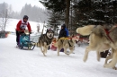 X2-Schlittenhunderennen-Todtmoos-24022013-Bodensee-Community-Seechat_63.JPG