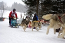 X2-Schlittenhunderennen-Todtmoos-24022013-Bodensee-Community-Seechat_63.JPG