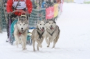 X3-Schlittenhunderennen-Todtmoos-24022013-Bodensee-Community-seechat_de-IMG_3320.JPG