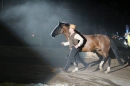 APASSIONATA-Freunde-fuer-immer-Stuttgart-110313-Bodensee-Communtiy-SEECHAT_DE-IMG_4097.JPG