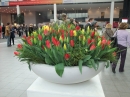 art-Messe-Karlsruhe-06-03-2013-Bodensee-Community-seechat_de-_117.jpg