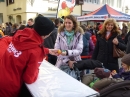 SWR3-Elchalarm-2013-_berlingen-200313-Bodensee-Community-SEECHAT_DE-P1030807.JPG