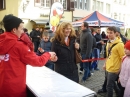 SWR3-Elchalarm-2013-_berlingen-200313-Bodensee-Community-SEECHAT_DE-P1030808.JPG