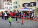 SWR3-Elchalarm-2013-_berlingen-200313-Bodensee-Community-SEECHAT_DE-P1030843.JPG