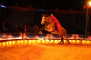 Circus-Luna-Radolfzell-21-03-2013-Bodensee-Community-SEECHAT_DE-IMG_7046.JPG
