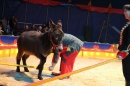Circus-Luna-Radolfzell-21-03-2013-Bodensee-Community-SEECHAT_DE-IMG_7061.JPG