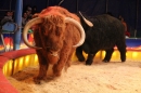 Circus-Luna-Radolfzell-21-03-2013-Bodensee-Community-SEECHAT_DE-IMG_7074.JPG
