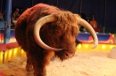 Circus-Luna-Radolfzell-21-03-2013-Bodensee-Community-SEECHAT_DE-IMG_7077.JPG