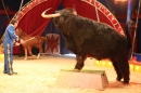 Circus-Luna-Radolfzell-21-03-2013-Bodensee-Community-SEECHAT_DE-IMG_7082.JPG