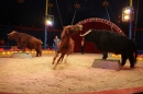 Circus-Luna-Radolfzell-21-03-2013-Bodensee-Community-SEECHAT_DE-IMG_7087.JPG
