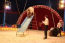 Circus-Luna-Radolfzell-21-03-2013-Bodensee-Community-SEECHAT_DE-IMG_7192.JPG