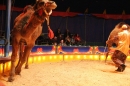 Circus-Luna-Radolfzell-21-03-2013-Bodensee-Community-SEECHAT_DE-IMG_7386.JPG