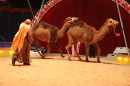 Circus-Luna-Radolfzell-21-03-2013-Bodensee-Community-SEECHAT_DE-IMG_7405.JPG