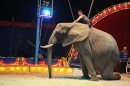 Circus-Luna-Radolfzell-21-03-2013-Bodensee-Community-SEECHAT_DE-IMG_7649.JPG