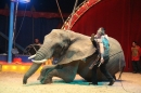 Circus-Luna-Radolfzell-21-03-2013-Bodensee-Community-SEECHAT_DE-IMG_7653.JPG