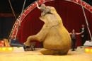 Circus-Luna-Radolfzell-21-03-2013-Bodensee-Community-SEECHAT_DE-IMG_7661.JPG