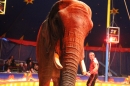 Circus-Luna-Radolfzell-21-03-2013-Bodensee-Community-SEECHAT_DE-IMG_7665.JPG
