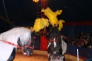 Circus-Henry-Bad_Wurzach-07-04-2013-Bodensee-Community-SEECHAT_de-IMG_7048.JPG