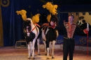 Circus-Henry-Bad_Wurzach-07-04-2013-Bodensee-Community-SEECHAT_de-IMG_7051.JPG