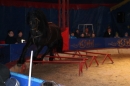 Circus-Henry-Bad_Wurzach-07-04-2013-Bodensee-Community-SEECHAT_de-IMG_7056.JPG