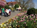 Ueberlingen-Promenade-Bootstour-050513-Bodesee-Community-SEECHAT_DE-IMG_4212.JPG