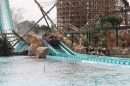 Europapark-Rust-07052013-Bodensee-Community-Seechat-DE_127.JPG