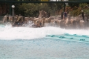 Europapark-Rust-07052013-Bodensee-Community-Seechat-DE_134.JPG