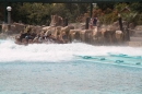 Europapark-Rust-07052013-Bodensee-Community-Seechat-DE_135.JPG
