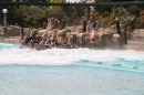 Europapark-Rust-07052013-Bodensee-Community-Seechat-DE_136.JPG