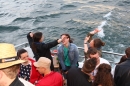 Lemon-House-Boat-Immenstaad-110513-Bodensee-Community-SEECHAT_DE-IMG_0229.JPG