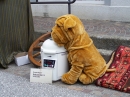 Flohmarkt-Bad-Saulgau-13-05-2013-Bodensee-Community-seechat_de-_46.jpg