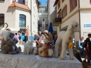 Flohmarkt-Riedlingen-180513-Bodensee-Community-seechat_de-_116.jpg