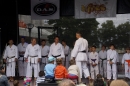 Stadtfest-Singen-am-Bodensee-23-06-2013-Bodensee-Community-SEECHAT_de-_22.jpg