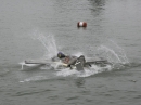 Seehafenfliegen-BODENS_EE-Lindau-29-06-2013-Bodensee-Community-seechat_de-_28.jpg