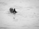 Seehafenfliegen-BODENS_EE-Lindau-29-06-2013-Bodensee-Community-seechat_de-_60.jpg