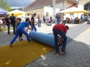 Hafenfest-Ludwigshafen-30-06-2013-Bodensee-Community-seechat_DE-P1040636.JPG