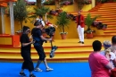 Immer-wieder-Sonntags-Europa-Park-Rust-30-06-2013-Bodensee-Community-SEECHAT_de-_75.jpg