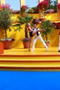 Immer-wieder-Sonntags-Europa-Park-Rust-30-06-2013-Bodensee-Community-SEECHAT_de-_79.jpg