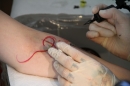 Tattoo-Convention-Bodensee-06072013-Friedrichshafen-Community-SEECHAT_DE-_486.jpg