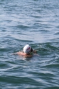 Bodenseequerung-Bodman-30082013-Bodensee-Community-Seechat-DE_122.JPG